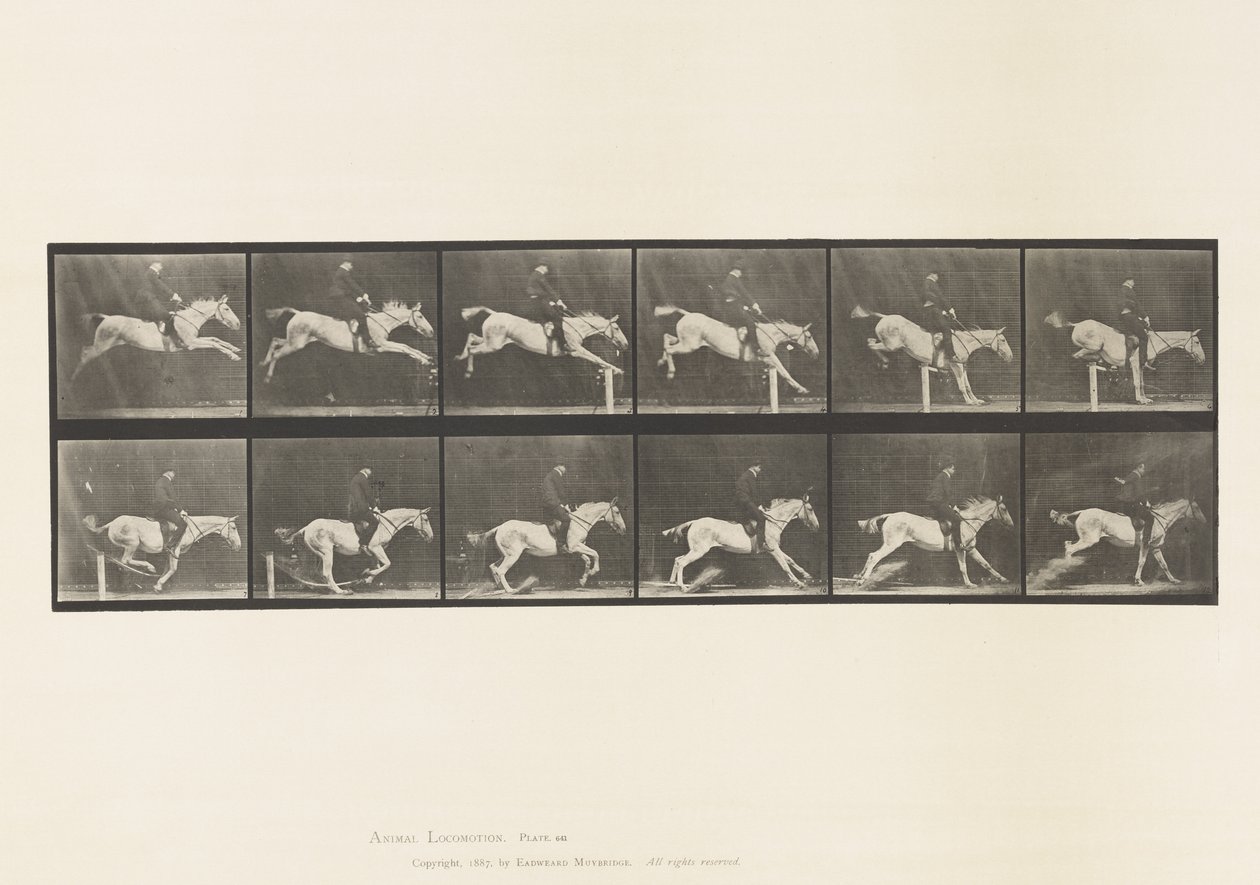 Plate 641. Jumping a Hurdle; Saddle; Knocking Over Hurdle by Eadweard Muybridge
