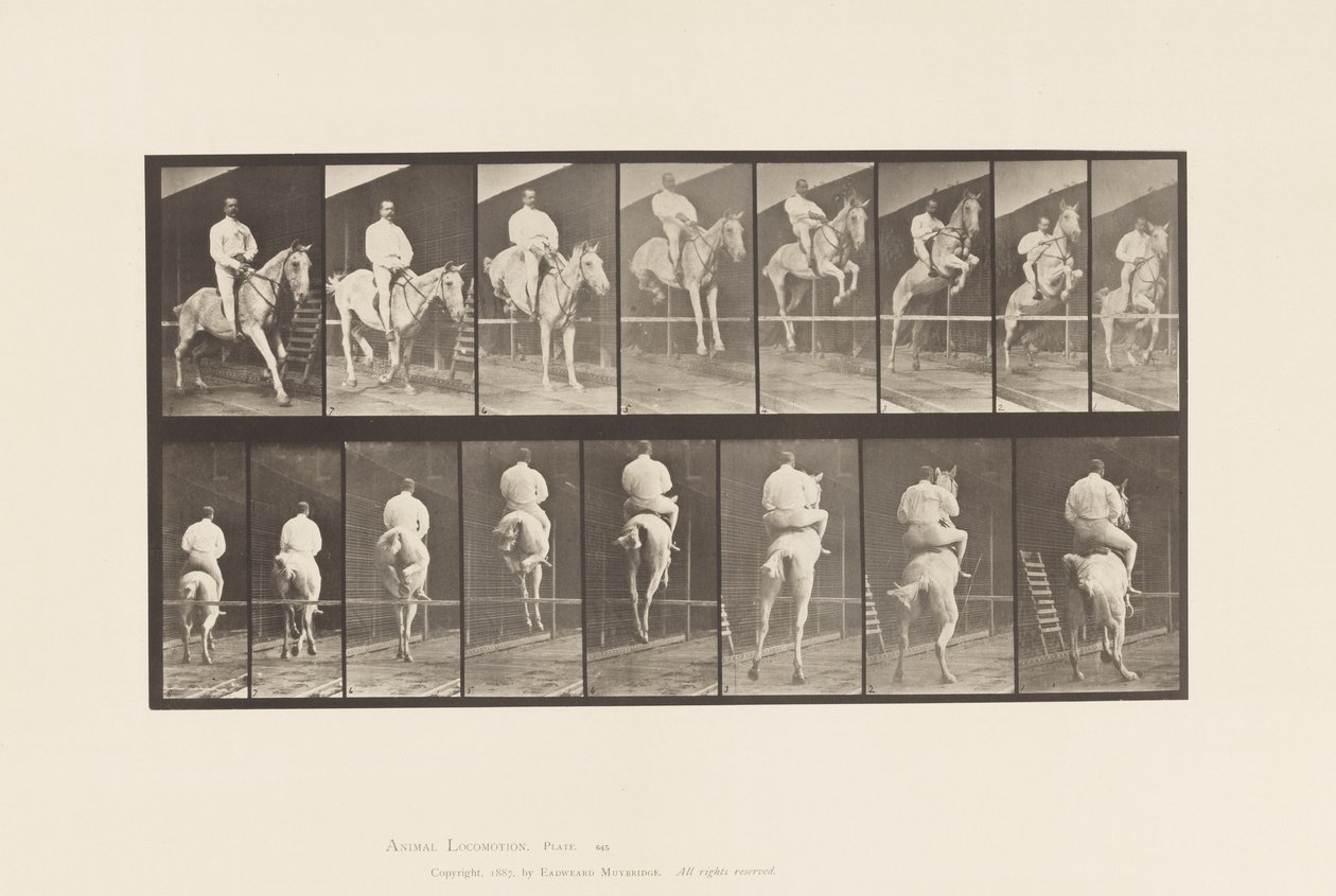 Plate 645. Jumping a Hurdle; Saddle; Clearing and Landing by Eadweard Muybridge