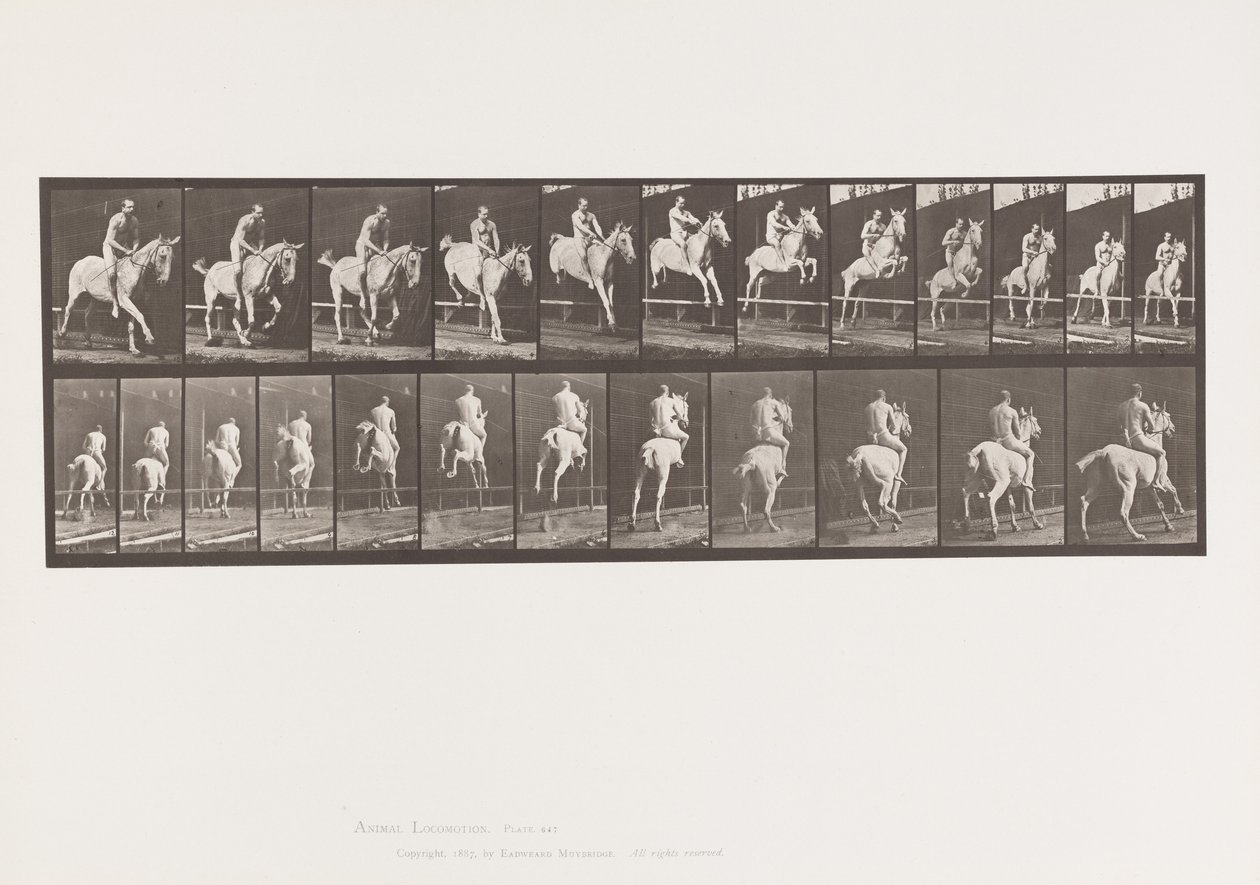 Plate 647. Jumping a Hurdle; Bareback; Rider by Eadweard Muybridge