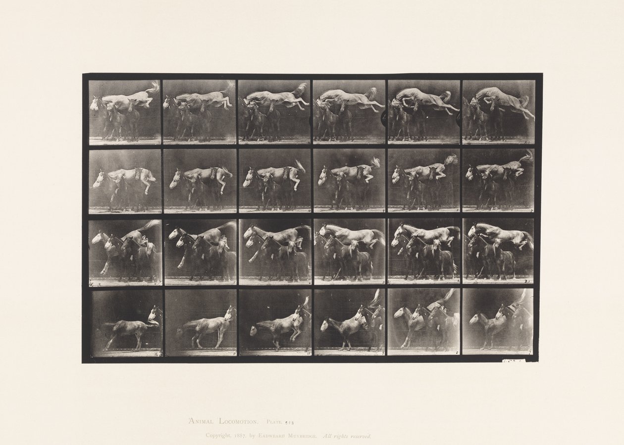 Plate 648. Jumping Over Three Horses; A,B; Chestnut Horse Hornet by Eadweard Muybridge