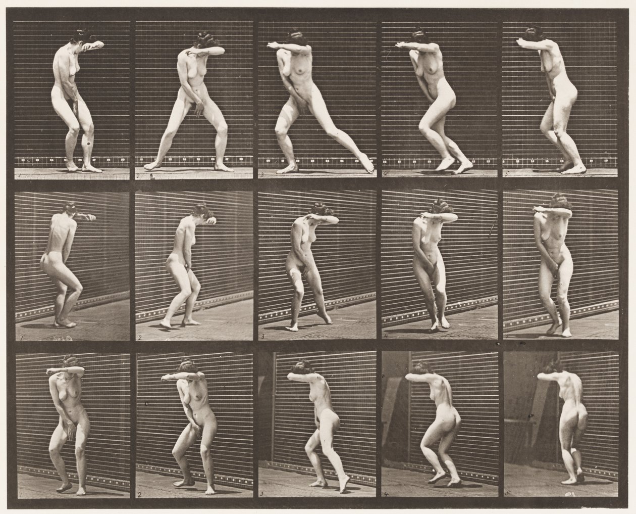 Turning Around in Surprise and Running Away by Eadweard Muybridge