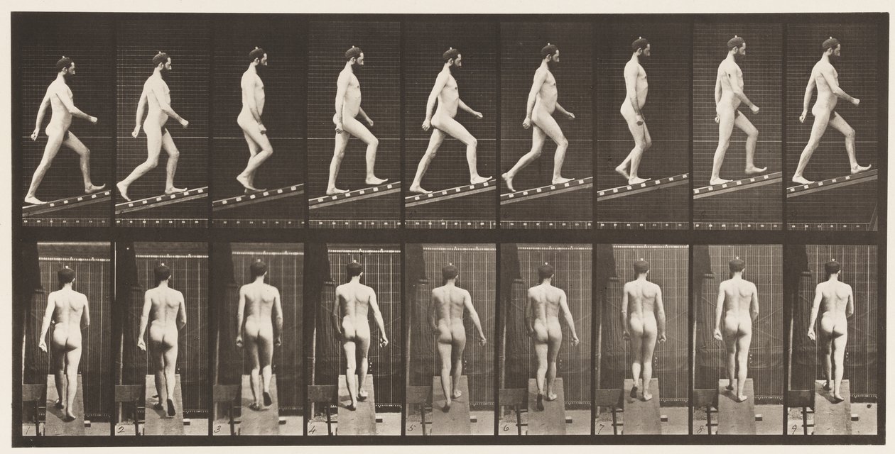 Ascending Incline, Angle 1 in 4 by Eadweard Muybridge