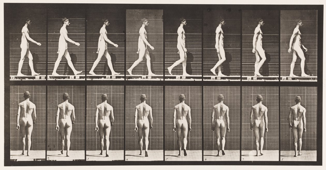 Plate 8. Walking by Eadweard Muybridge