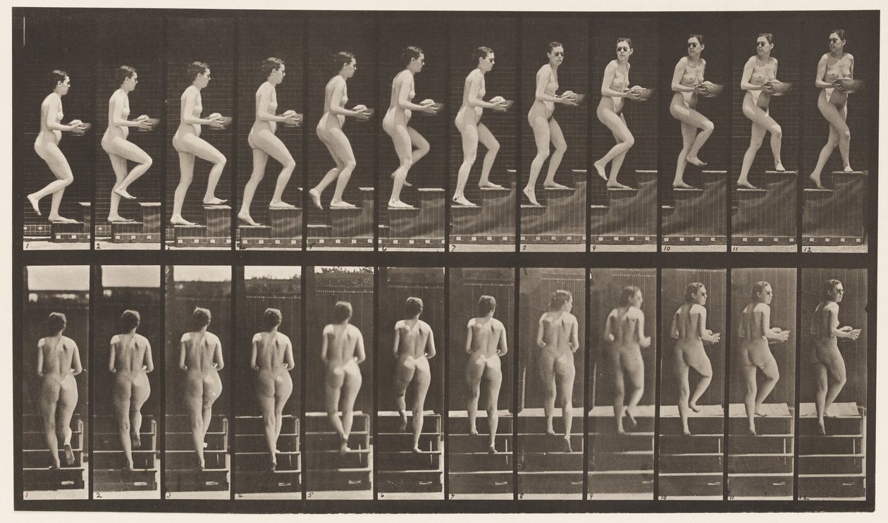 Plate 94. Ascending Stairs Looking Around; Basin in Hands by Eadweard Muybridge