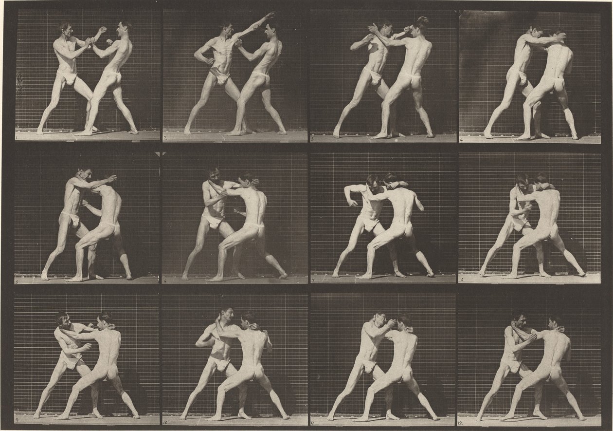 Plate Number 340. Boxing, open hand by Eadweard Muybridge
