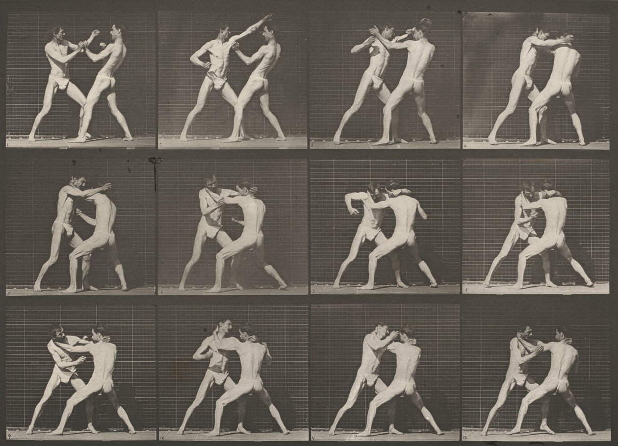 Plate Number 340. Boxing, Open Hand by Eadweard Muybridge