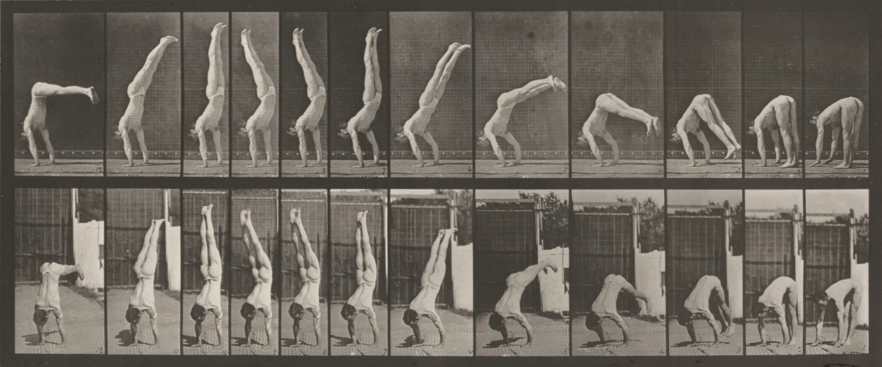 Acrobat, Vertical 