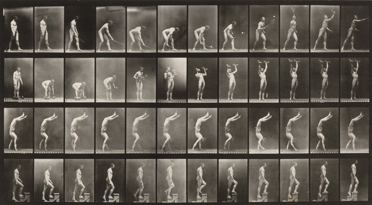 Plate Number 488. A: Lawn tennis. B: Dumbbells. C: Walking on hands. D: Ascending stairs by Eadweard Muybridge