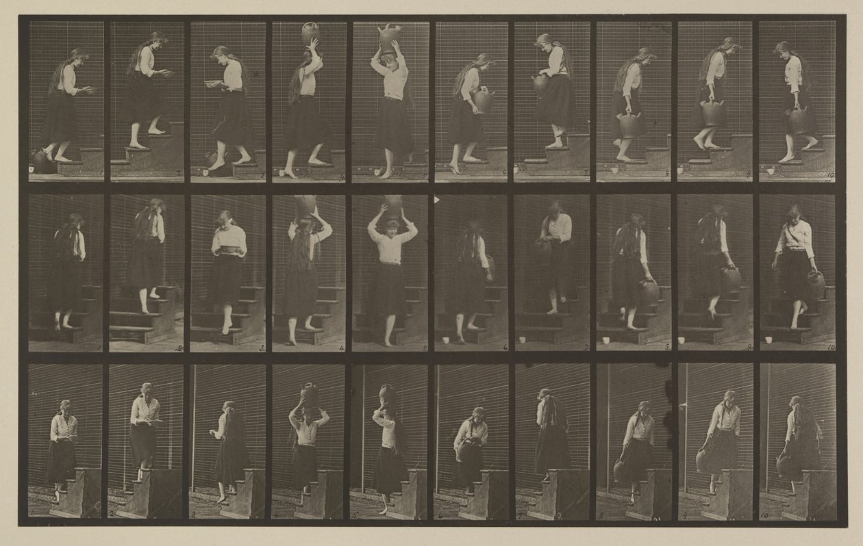 Plate Number 504. Ascending and Descending Stairs by Eadweard Muybridge