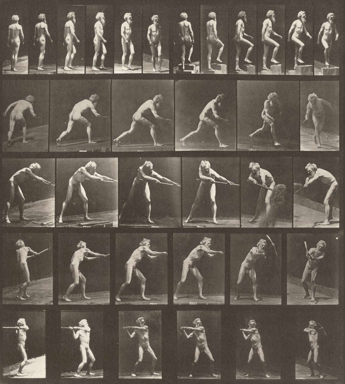 Plate Number 521. A: Walking. B: Ascending a step. C: Throwing the disk. D: Using a shovel. E, F: Using a pick by Eadweard Muybridge