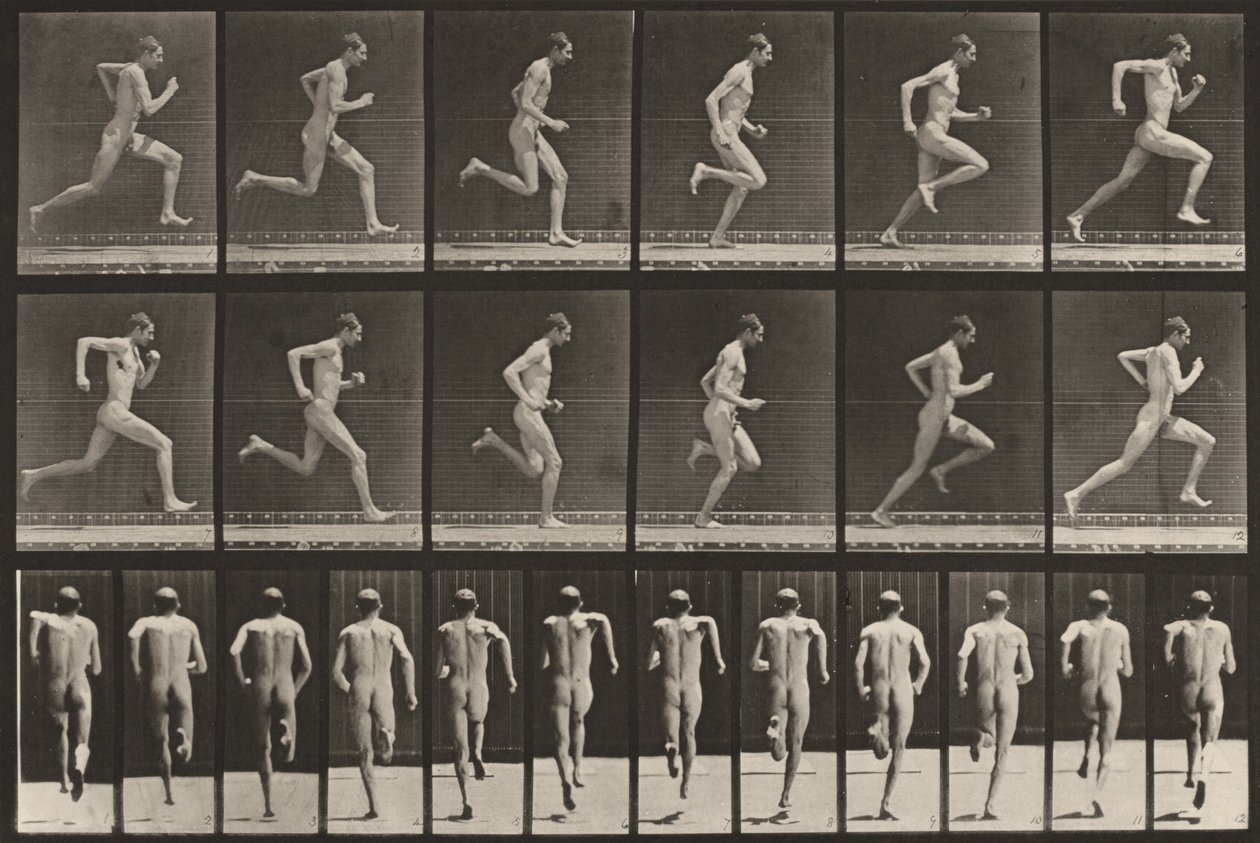 Plate Number 62. Running at Full Speed by Eadweard Muybridge
