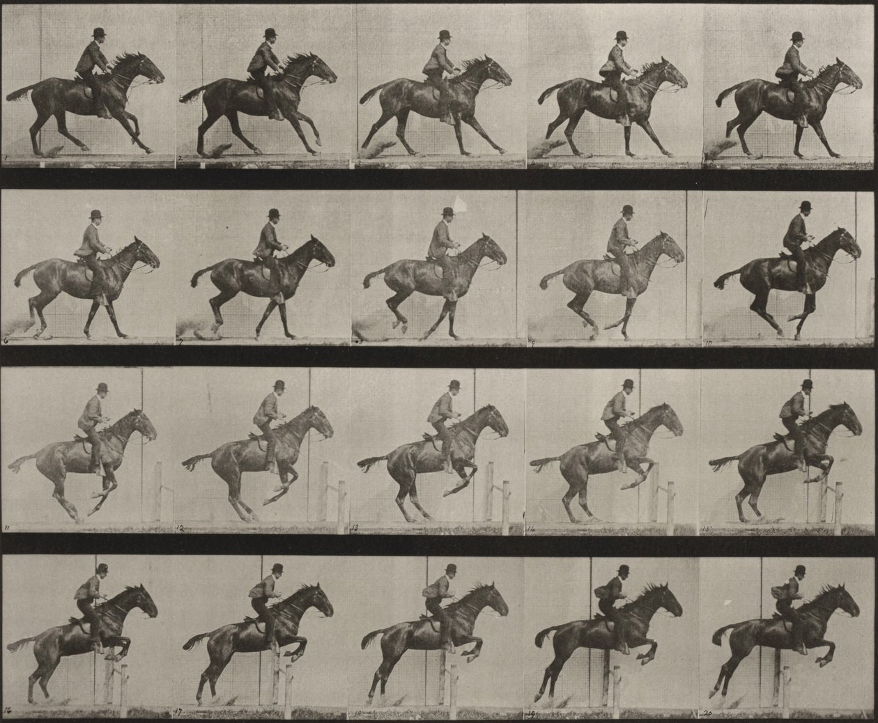 Plate Number 636. "Daisy" Jumping a Hurdle, Saddled, Preparing for the Leap by Eadweard Muybridge