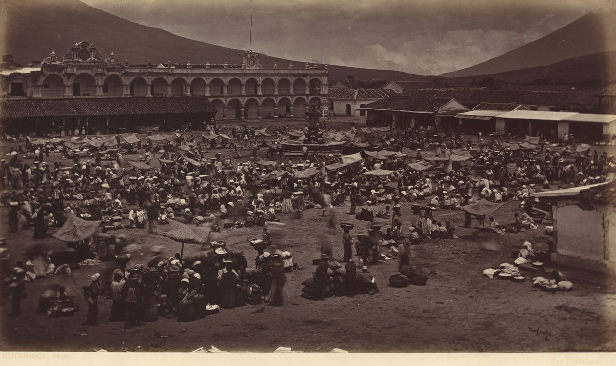 Plaza and Viceroy