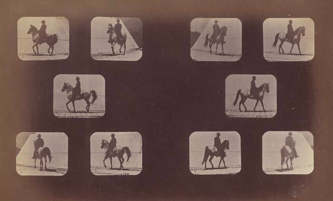 Studies of Foreshortenings. Horses. Walking. Mahomet. Nos. 119-120 by Eadweard Muybridge