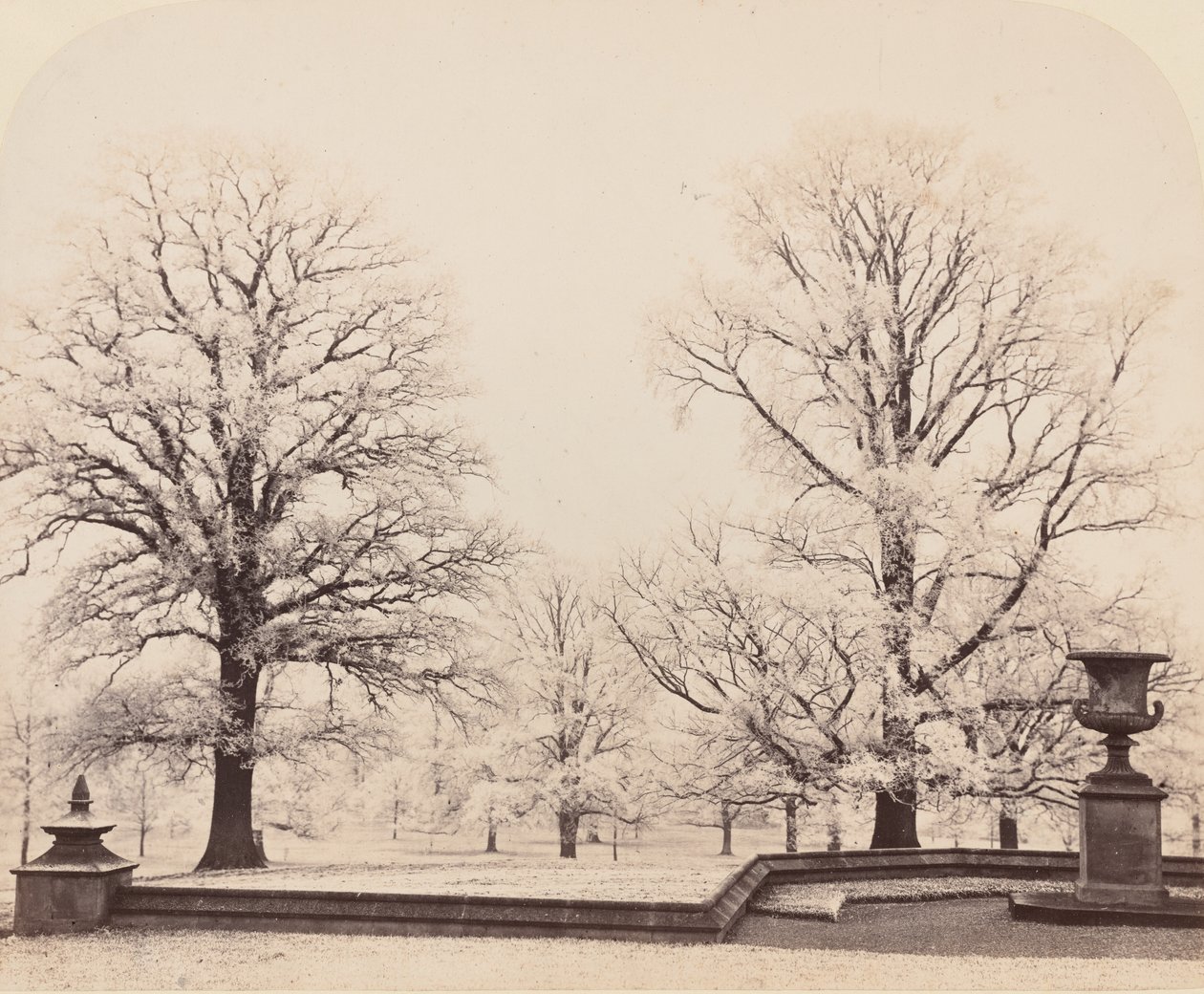 Hoarfrost, a Park Scene by Earl of Caithness James Sinclair