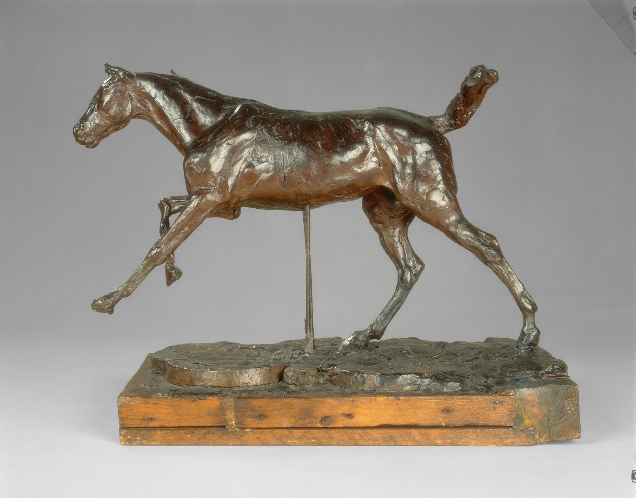 Horse Galloping on the Right Foot, late 1880s by Edgar Degas