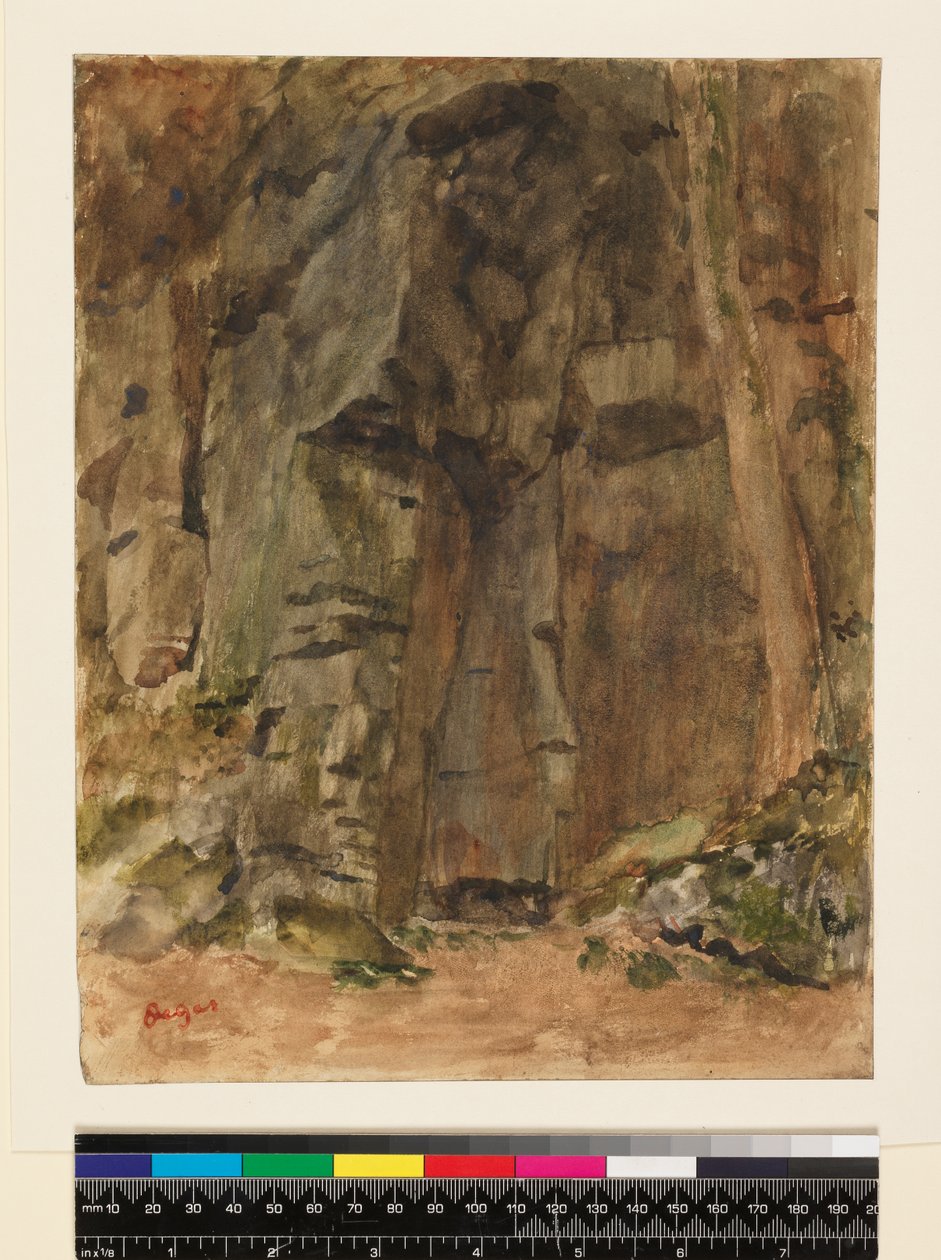 Rocks at Bagnoles-De-L
