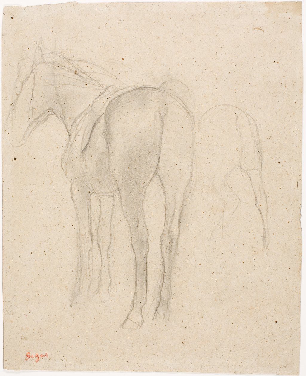 Studies of a Horse by Edgar Degas