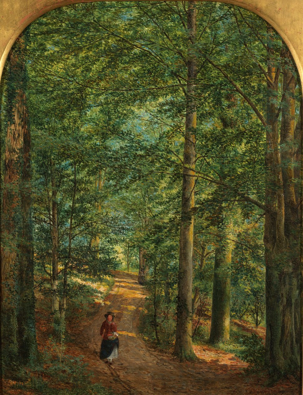 In the Woods by Edmund George Warren