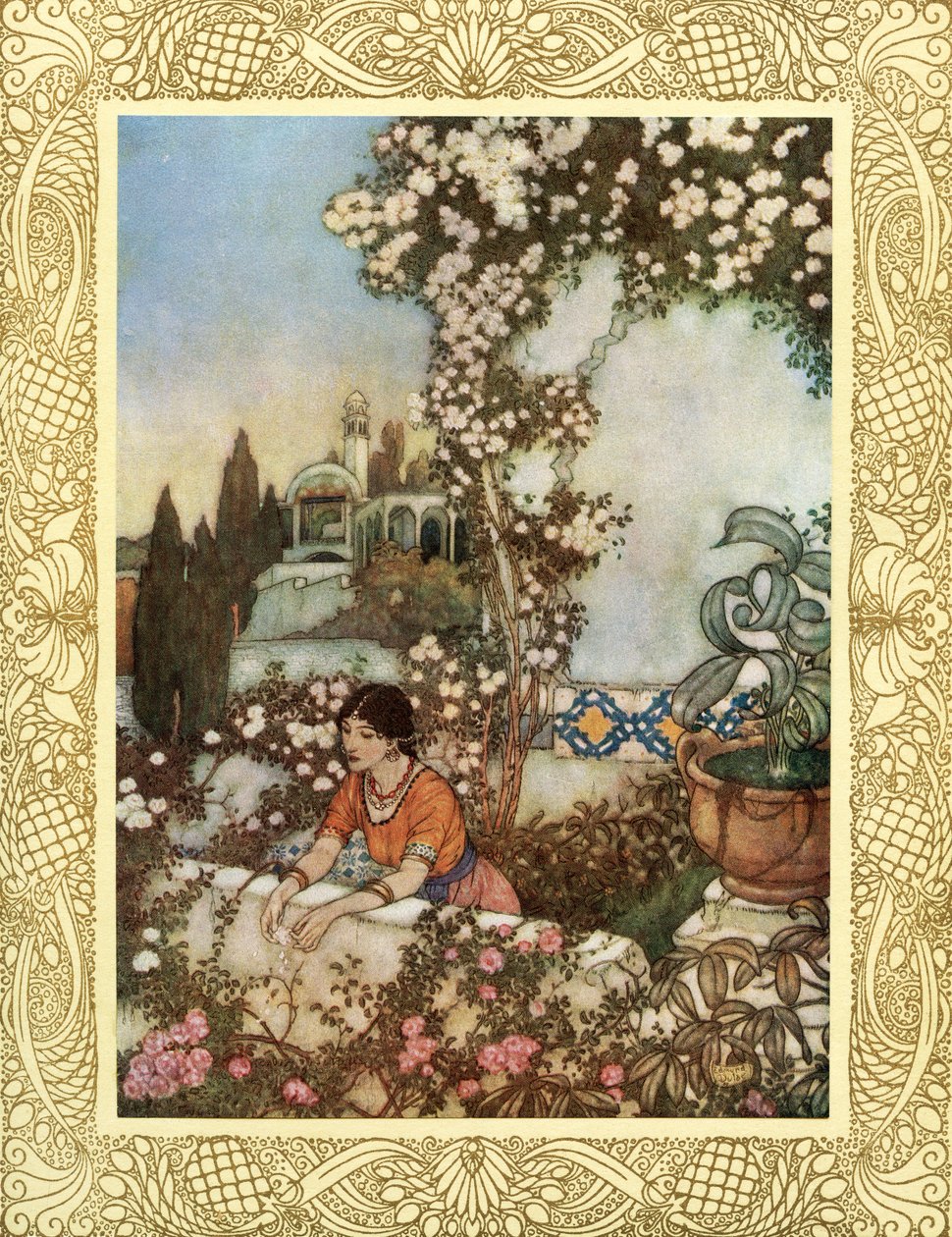 Look to the Blowing Rose About Us - 