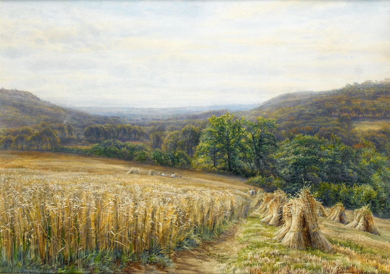 Harvest Time near Ashburton by Edmund George Warren