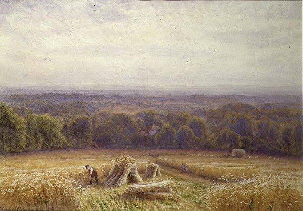 Harvesting by Edmund George Warren
