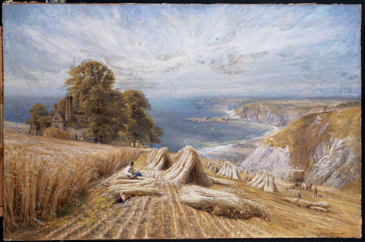 Harvesting on the South Coast by Edmund George Warren