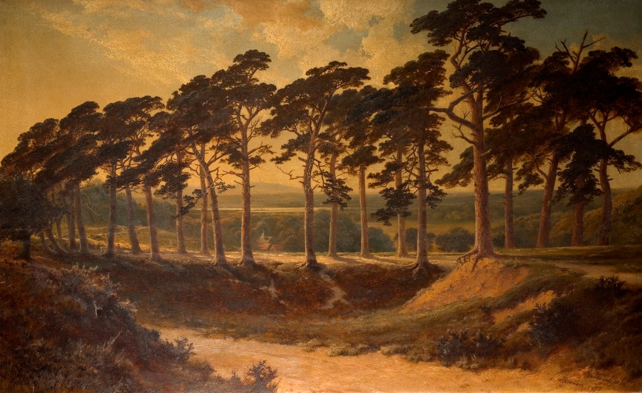 Harrow from the First, Hampstead Heath, 1875 by Edmund John Niemann