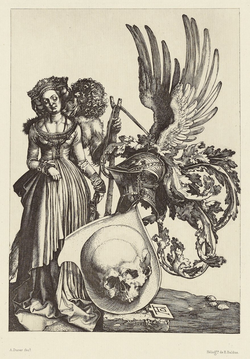 Coat of Arms with a Skull by Albrecht Dürer by Édouard Baldus