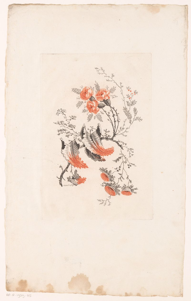 Various Fantasy Flowers (series title) by Edouard Gautier Dagoty