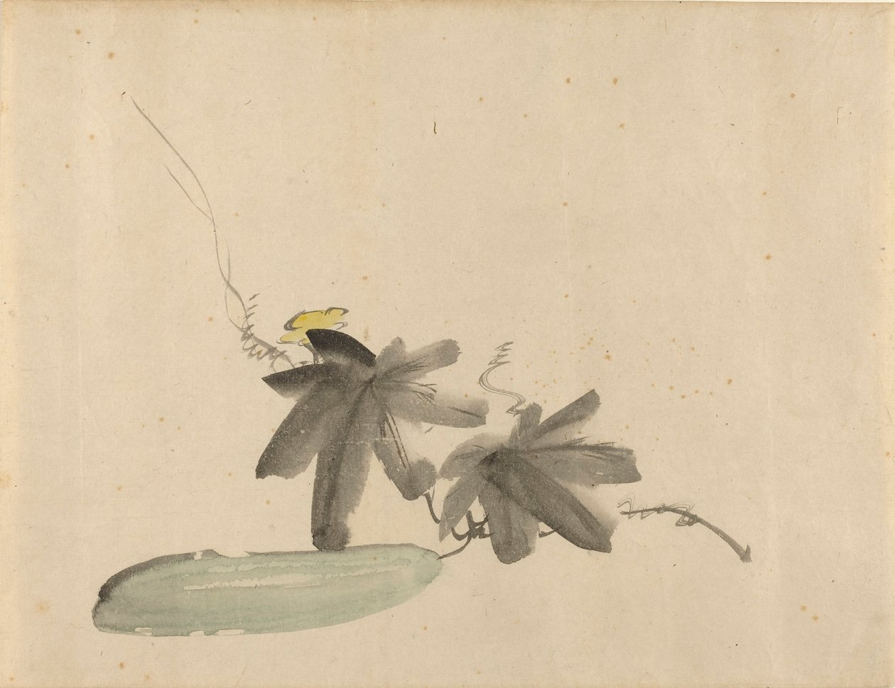 Cucumber with Leaves by Édouard Manet