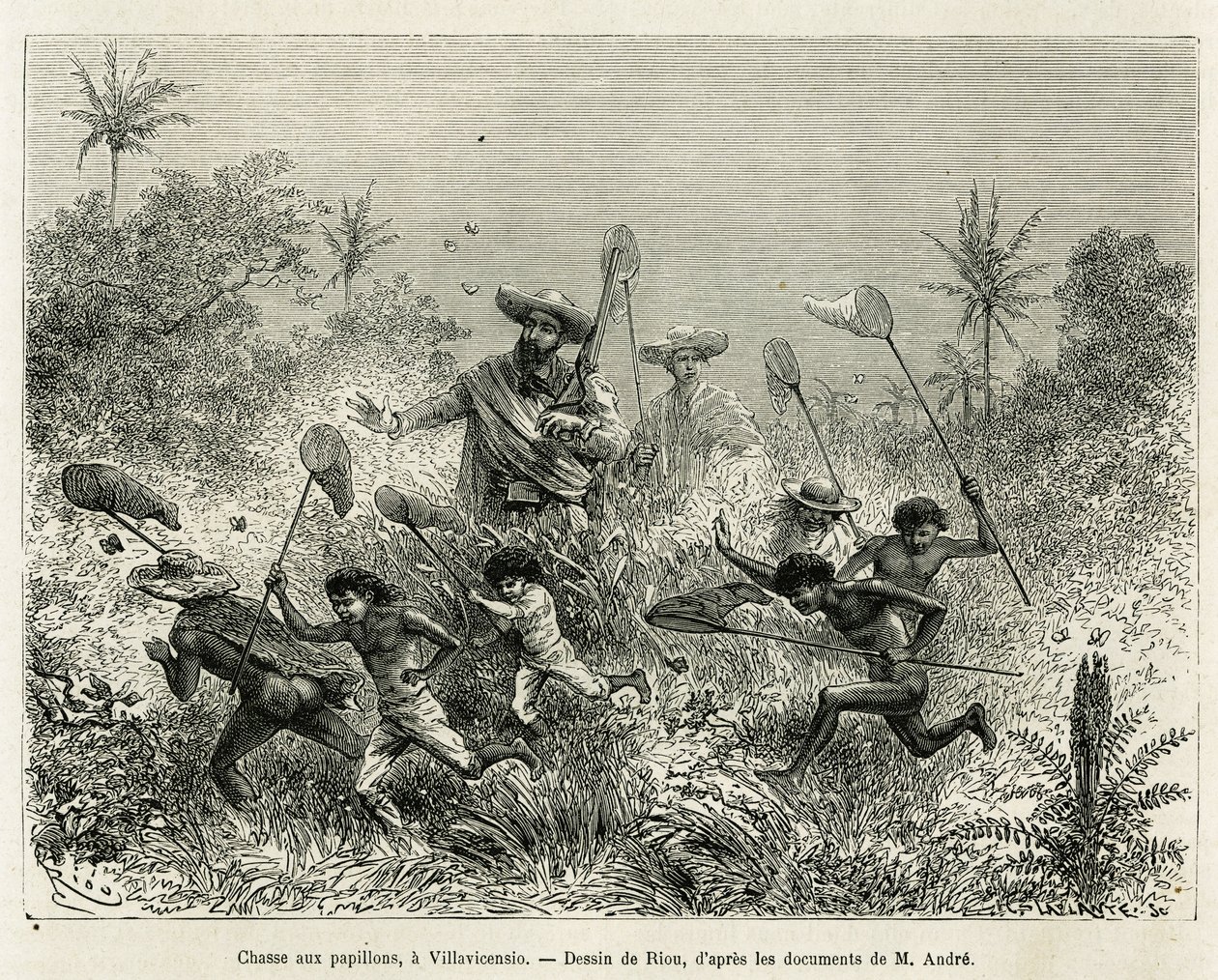 A gang of children hunted for butterflies, accompanied by the author, a Villavicensio (Colombia), drawing by Riou, to illustrate the story of Equinoxiale America (Colombia, Ecuador, Peru), in 1875-1876, by Ed. andre, traveller in charge of mission by the F by Edouard Riou