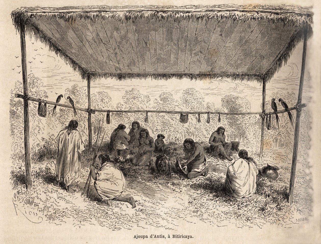 Ajoupa of the Antis Indians, in Biticaraya by Edouard Riou