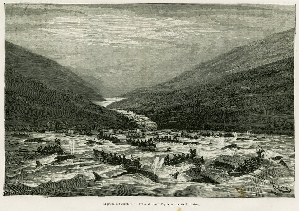 Dolphin fishing. Engraving by Riou to illustrate the story 
