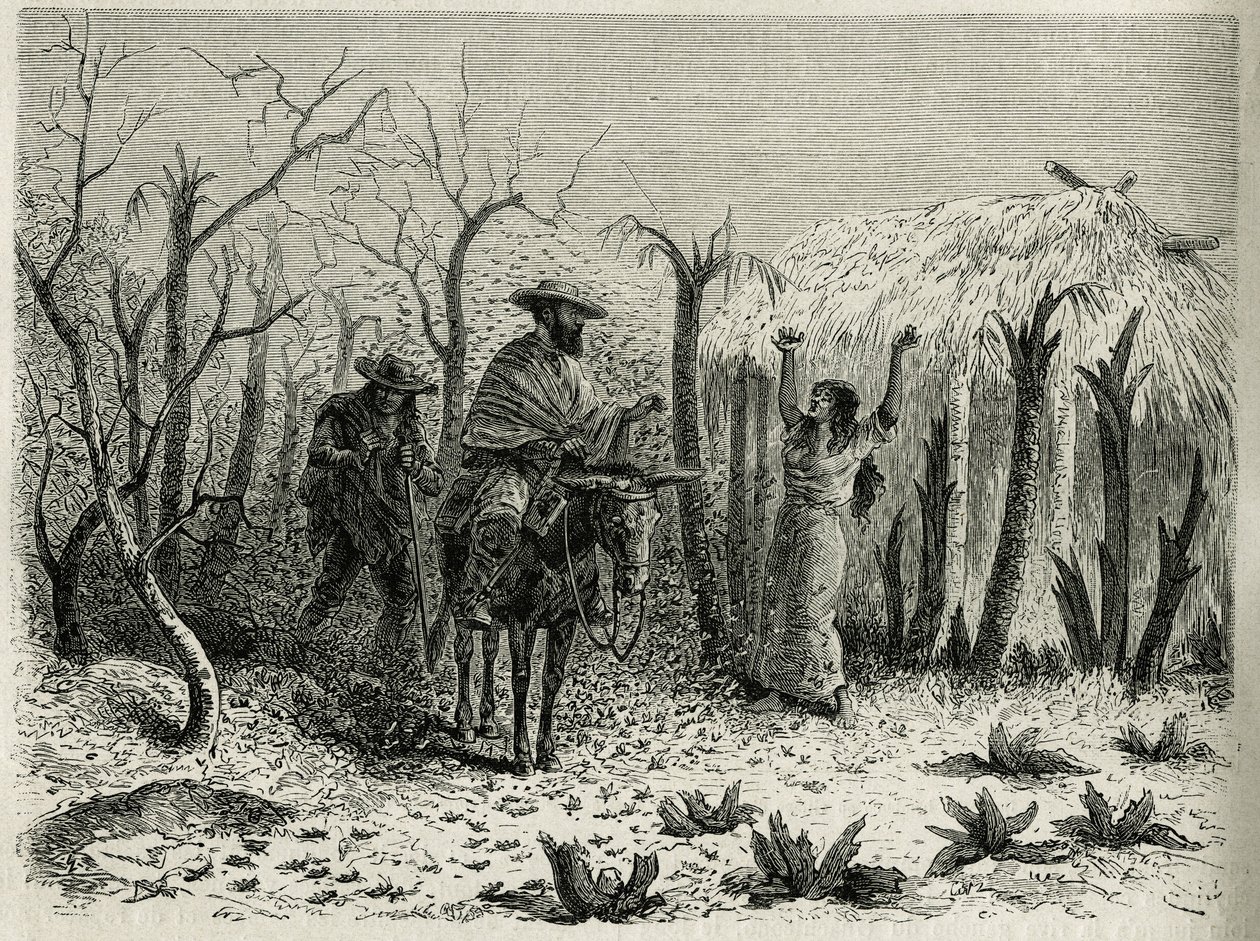 The Clouds of Grasshoppers of the Upper Patia Valley (engraving by Riou, to illustrate the story 