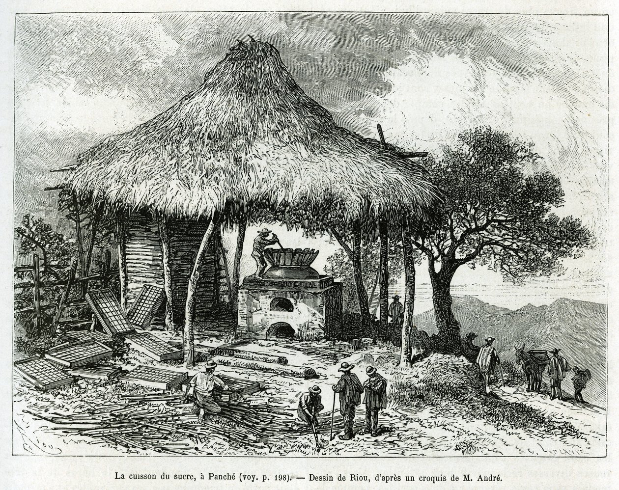 The Sugar Baking Oven, in Panche (Colombia), drawing by Riou, to illustrate the story of Equinoxiale America (Colombia, Ecuador, Peru), in 1875-1876, by Ed. Andre, traveler mission charge by the French government. Engraving in Le tour du monde by Edouard Riou