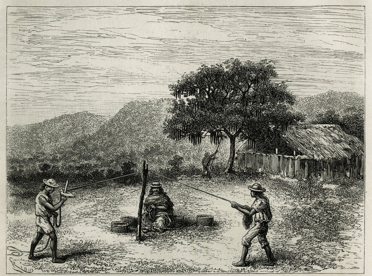 The manufacture of the cabuya, string of Fourcroya, near Cartago (Colombia). Engraving by Riou, to illustrate the story of Equinoxiale America by E. Andre, mission assignment by the French government, published in the Tour du monde, under the direction of  by Edouard Riou