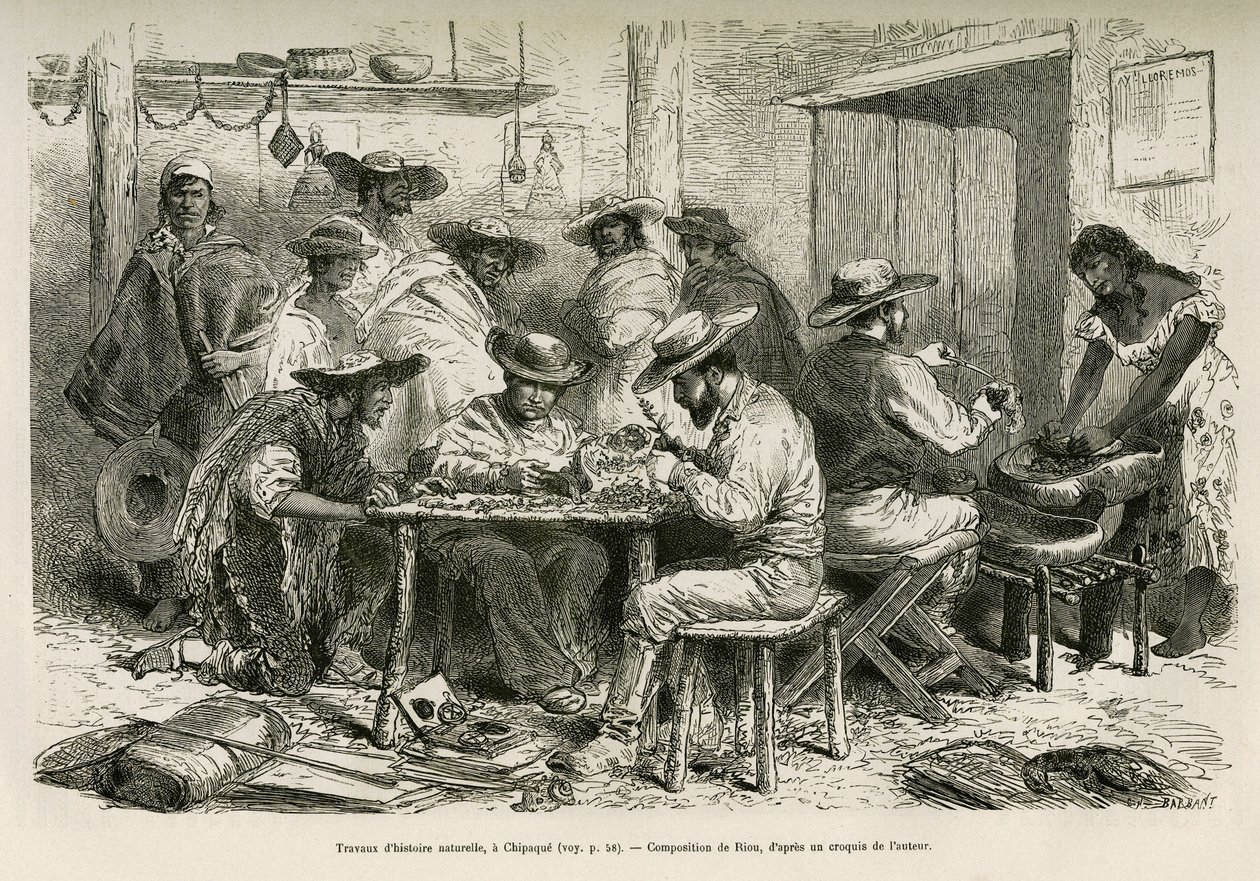 The works of natural history, in Chipaque (Colombia) (drawing by E. Riou, to illustrate the journey to equinoxial America (Colombia, Ecuador, Peru), 1875-1876, published in 
