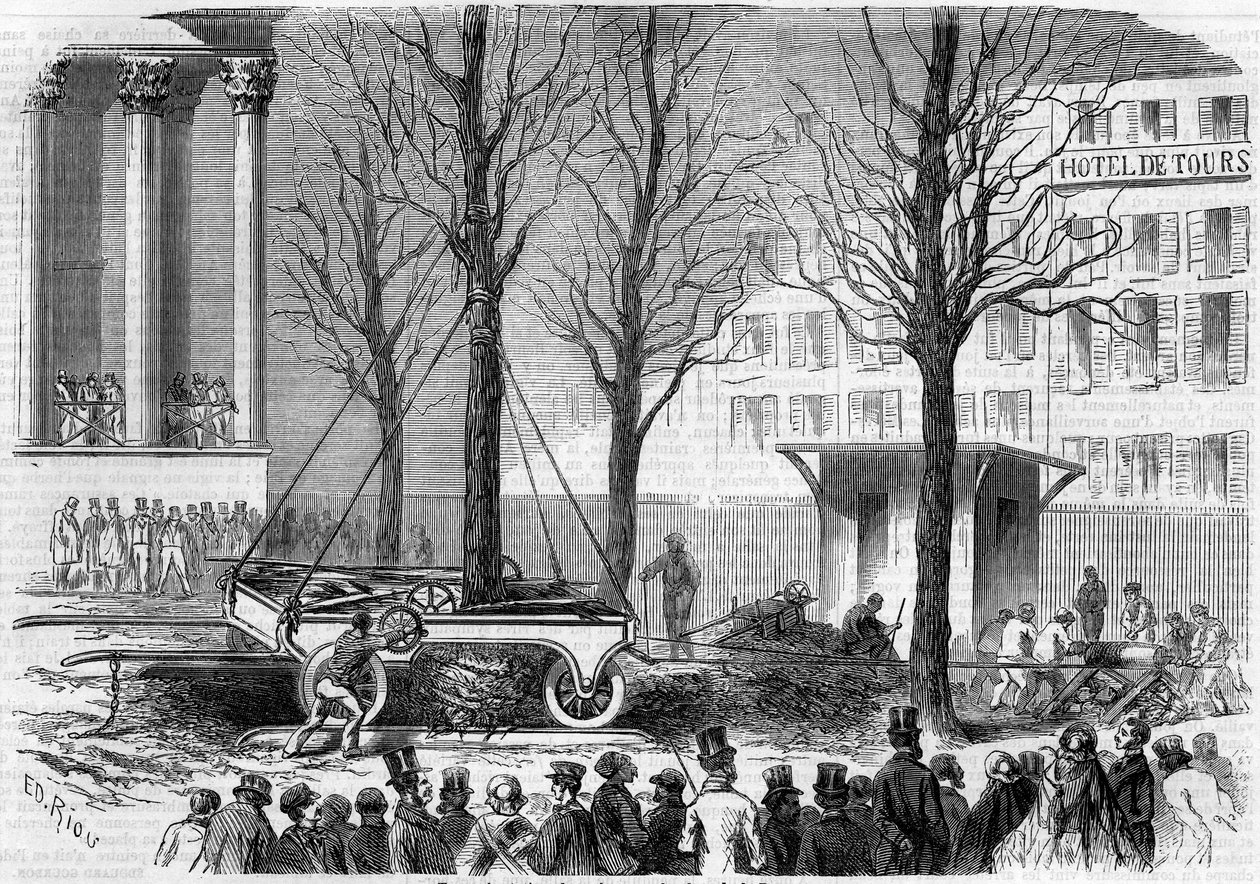 Transplantation of trees on Place de la Bourse in Paris during the winter of 1858. Engraving by Riou in 