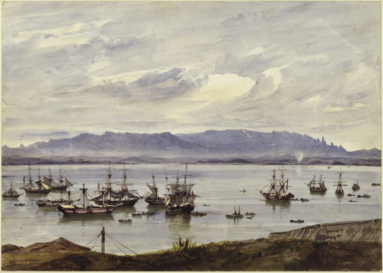 Panorama of Rio de Janeiro by Eduard Hildebrandt