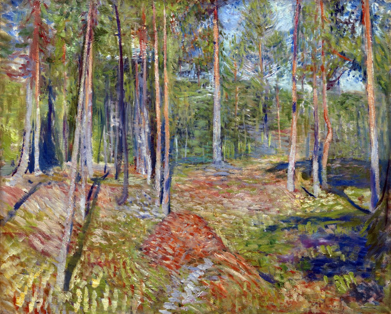 Pine Forest by Edvard Munch