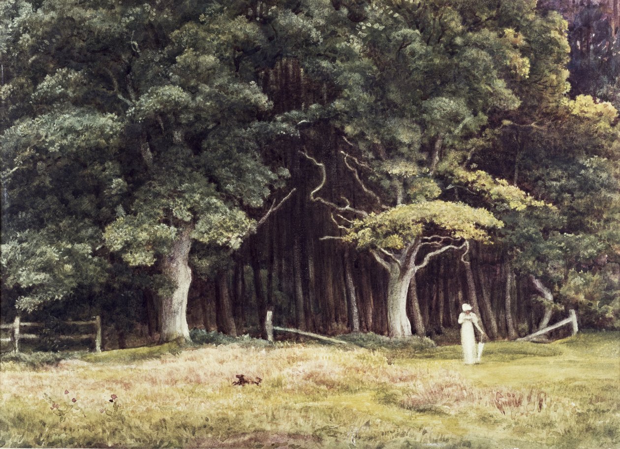 The Wooded Landscape by Edward John Poynter