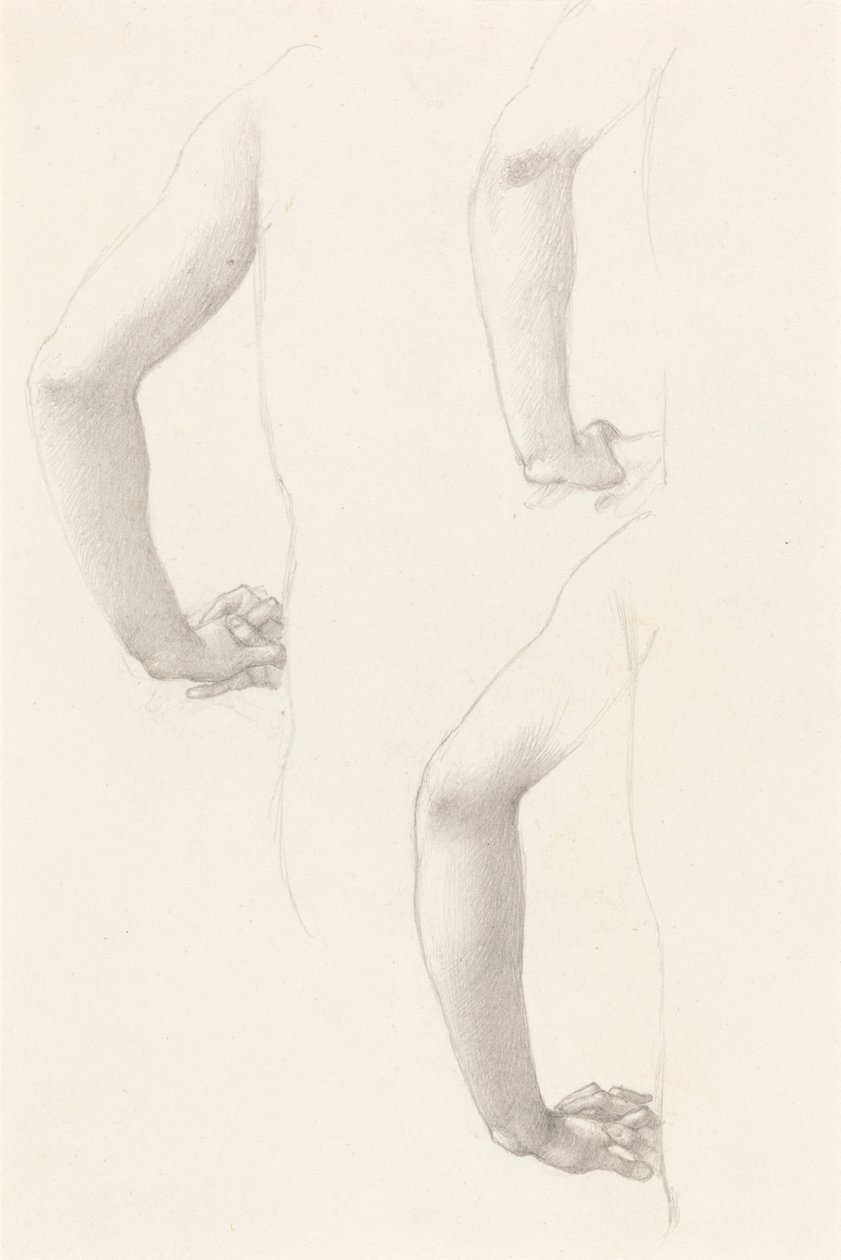 Studies of an Arm and Hands by Edward Burne Jones