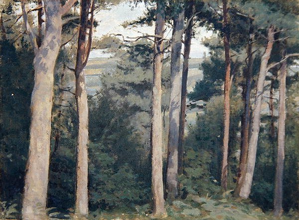Lambert Castle by Edward Ingram Taylor
