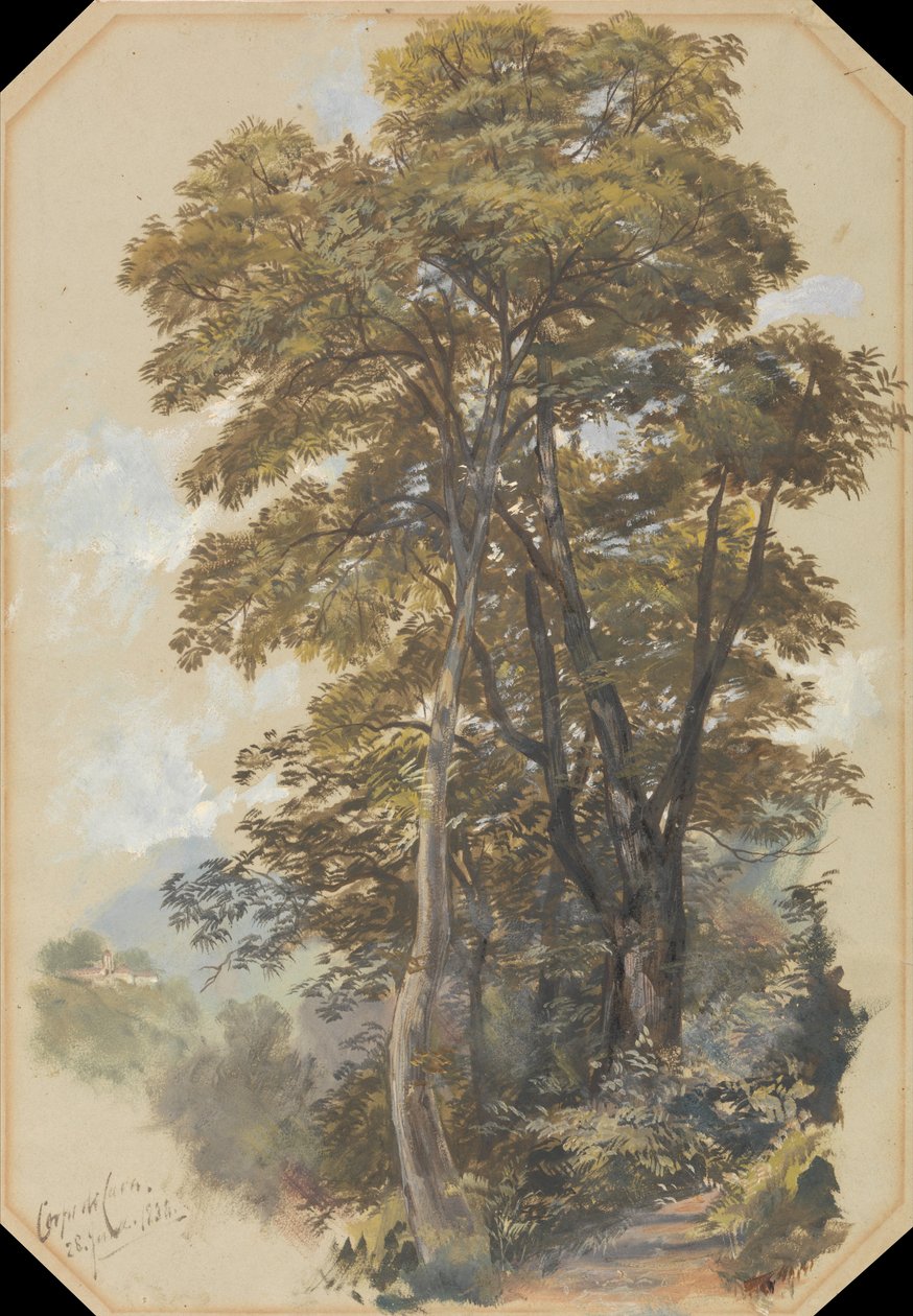 Corpo di Cava, June 28, 1838 by Edward Lear