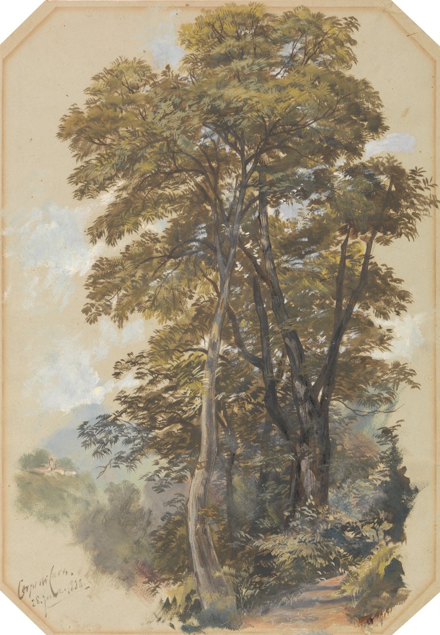 Corpo di Cava, 28 June 1838 by Edward Lear