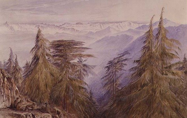 Monkeys on a Crag Near Simla, North India by Edward Lear