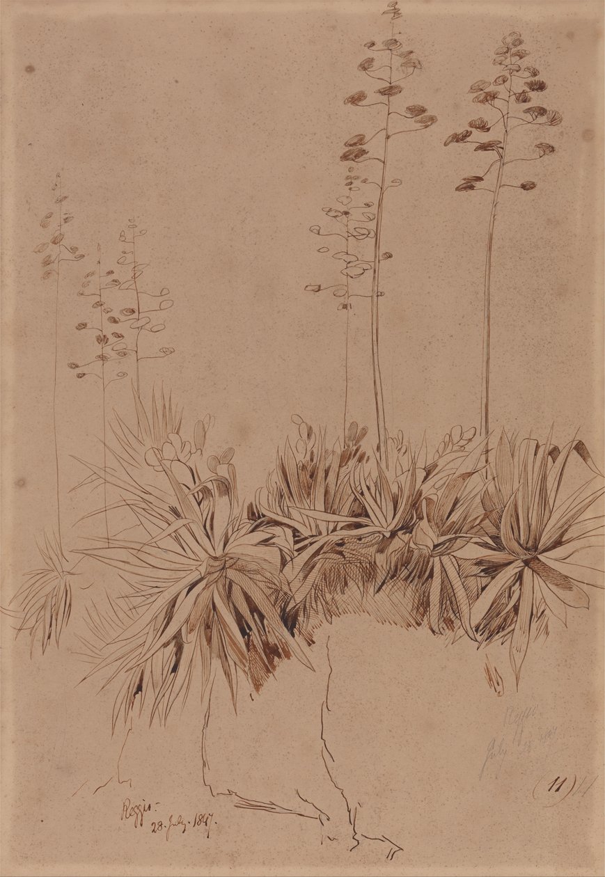 Reggio by Edward Lear