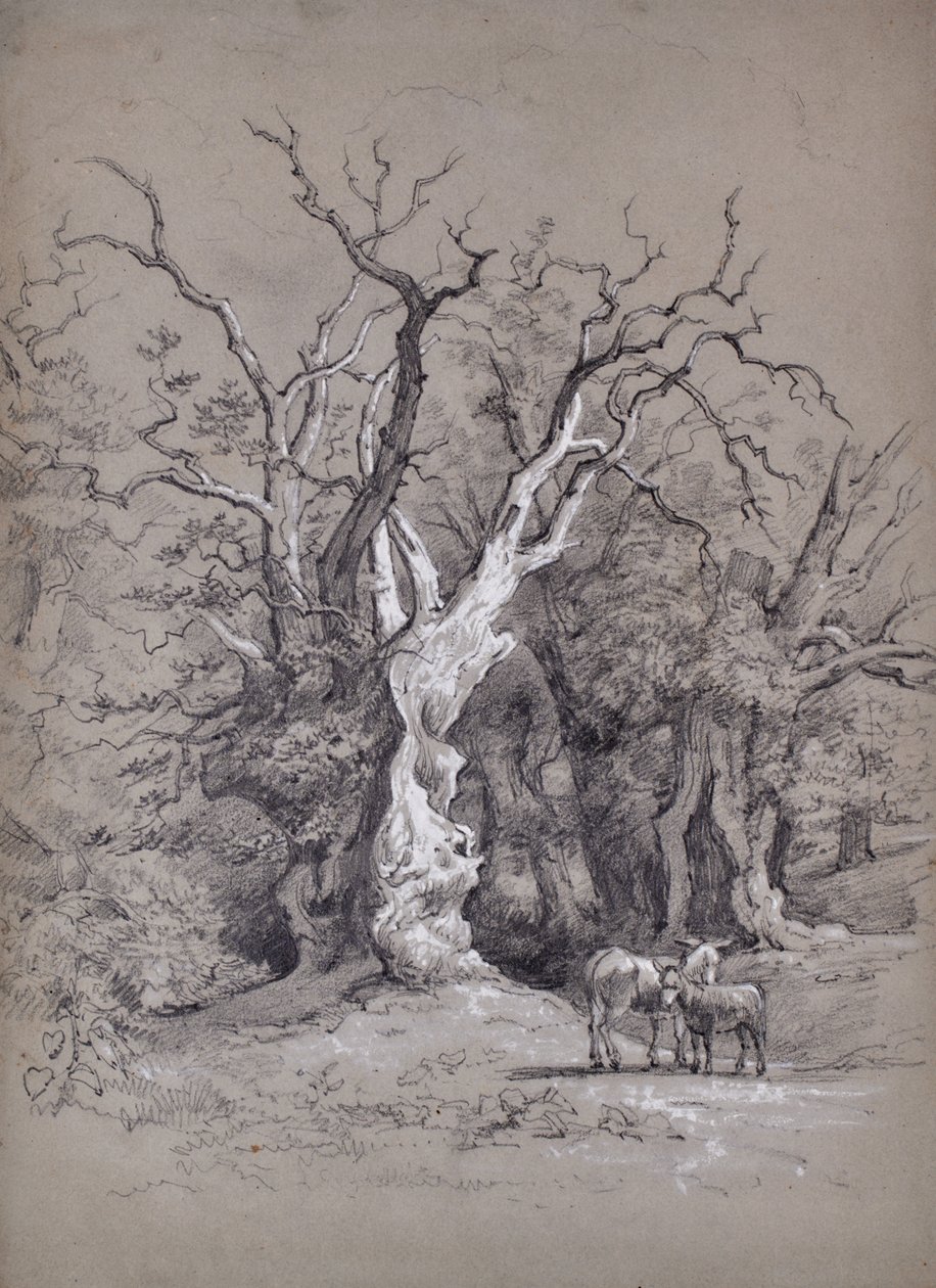 Landscape with Tree by Edward Pretty