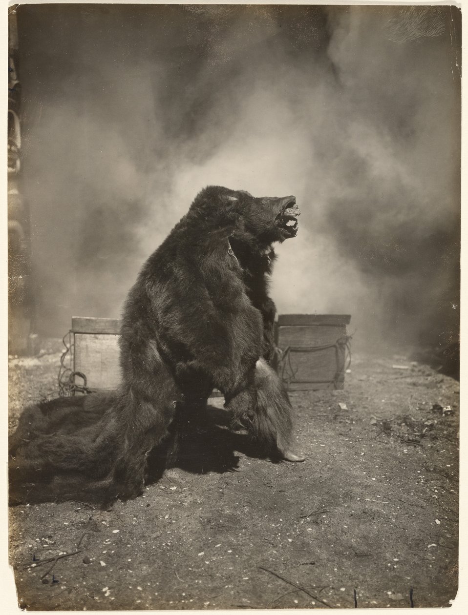 Let the Tricky Black Bear Do His Dance by Edward S. Curtis
